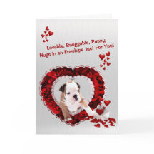 Bulldog Lovable Snuggable Puppy Hugs