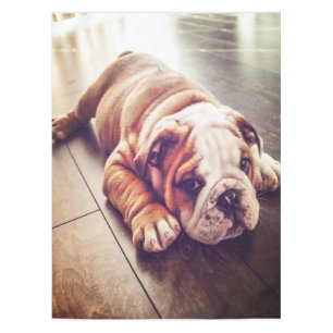 Bulldog Lying Dog  Hundefutter Tischdecke