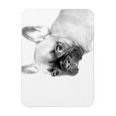 Bulldog Magnet (Vertikal)