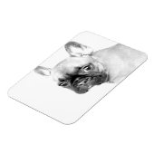 Bulldog Magnet (Linke Seite)