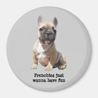 Bulldog Magnet