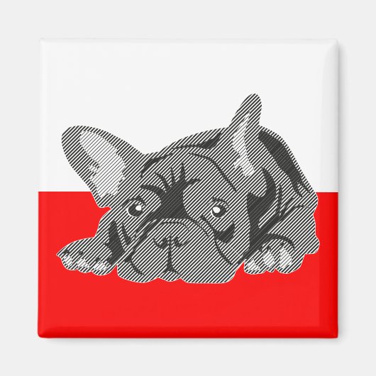 Bulldog Magnet (Vorne)