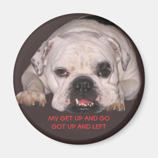 Bulldog Magnet (Vorne)