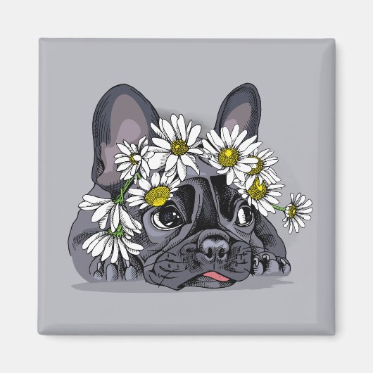 Bulldog Magnet (Vorne)