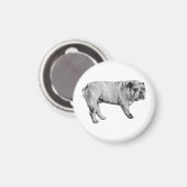 Bulldog-Magnet Magnet (Vorderseite/Rückseite)