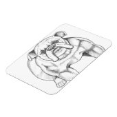 Bulldog-Magnet Magnet (Linke Seite)