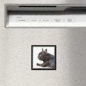 Bulldog-Magnet Magnet (In Situ (Geschirrspüler))