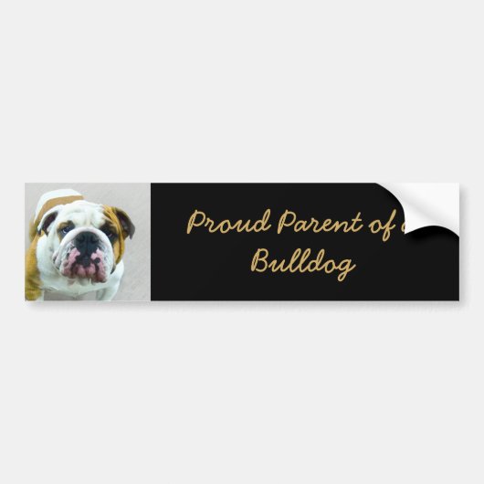 Bulldog-Malerei - Niedliche Original Hunde-Kunst Autoaufkleber (Vorne)