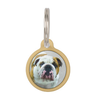 Bulldog-Malerei - Niedliche Original-Hunde-Kunst Haustiermarke