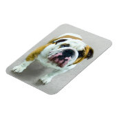 Bulldog-Malerei - Niedliche Original Hunde-Kunst Magnet (Linke Seite)