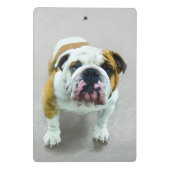 Bulldog-Malerei - Niedliche Original Hunde-Kunst Mini Klemmbrett (Rückseite)