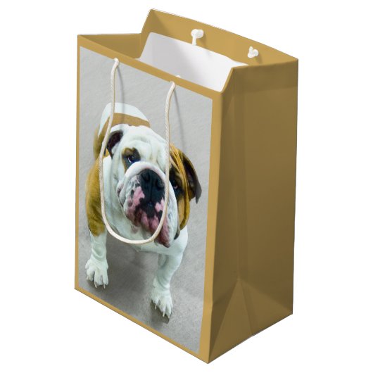 Bulldog-Malerei - Niedliche Original-Hunde-Kunst Mittlere Geschenktüte (Rückseite Schrägansicht)