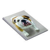 Bulldog-Malerei - Niedliche Original Hunde-Kunst Notizblock (Rechte Seite)