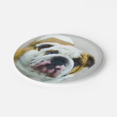 Bulldog-Malerei - Niedliche Original Hunde-Kunst Pappteller (Schrägansicht)