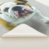 Bulldog-Malerei - Niedliche Original Hunde-Kunst Sherpadecke (3/4)