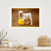 Bulldog mit Ball-Poster Poster (Küche)