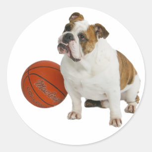 Bulldog mit Basketball Runder Aufkleber