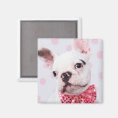 Bulldog mit Bow-Krawatte Magnet (Vorderseite/Rückseite)