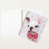 Bulldog mit Bow-Krawatte Planer (Anzeige)