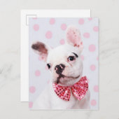 Bulldog mit Bow-Krawatte Postkarte (Vorne/Hinten)