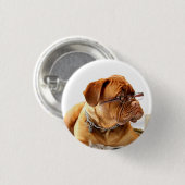 Bulldog mit Brille - Schaltfläche Button (Vorne & Hinten)