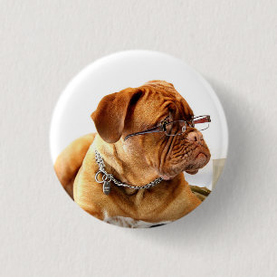 Bulldog mit Brille - Schaltfläche Button