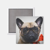 Bulldog mit Brille und Bow-Krawatte Magnet (Vorderseite/Rückseite)