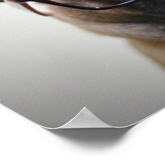 Bulldog mit Brille und Bow-Krawatte Poster (Ecke)