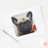 Bulldog mit Brille und Bow-Krawatte Quadratischer Aufkleber (Umschlag)