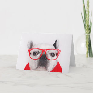 Bulldog mit Brille und Shirt Karte