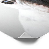 Bulldog mit Gummi-Ente Poster (Ecke)