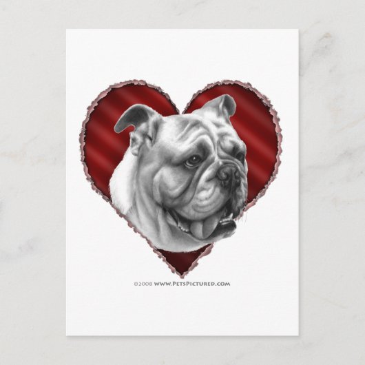 Bulldog mit Herz Postkarte (Vorderseite)