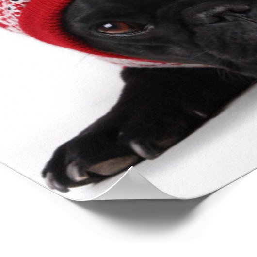 Bulldog mit Kapuzenpullover Poster (Ecke)