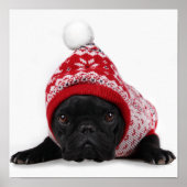 Bulldog mit Kapuzenpullover Poster (Vorne)