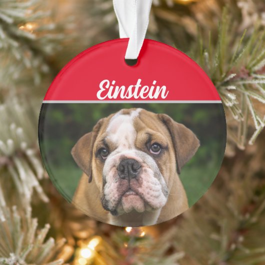 Bulldog mit Name und Foto Weihnachten Ornament (Baum)