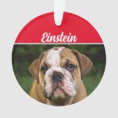 Bulldog mit Name und Foto Weihnachten Ornament (Vorderseite)