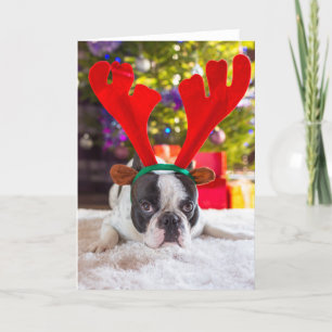 Bulldog mit Rentierhornen Feiertagskarte