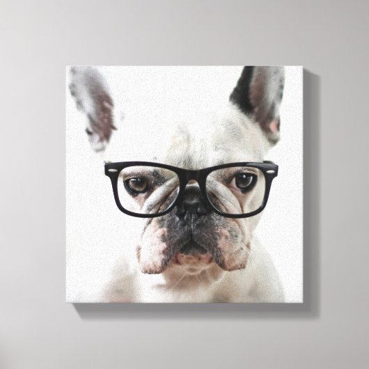 Bulldog mit schwarzer Brille Leinwanddruck (Vorderseite)