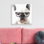 Bulldog mit schwarzer Brille Leinwanddruck (Insitu (Wohnzimmer))