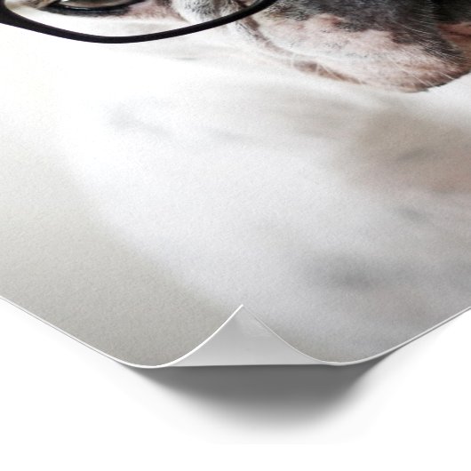 Bulldog mit schwarzer Brille Poster (Ecke)