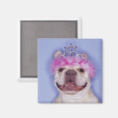 Bulldog mit Tiara Magnet (Vorderseite/Rückseite)