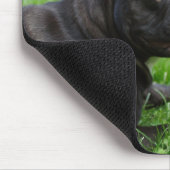 Bulldog Mousepad (Ecke)