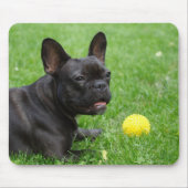 Bulldog Mousepad (Vorne)