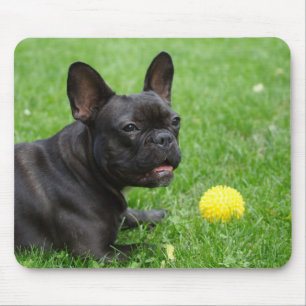 Bulldog Mousepad