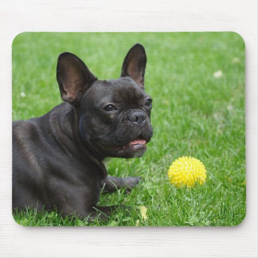 Bulldog Mousepad (Vorne)