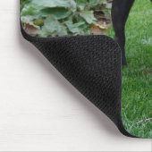 Bulldog Mousepad (Ecke)