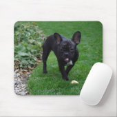 Bulldog Mousepad (Mit Mouse)