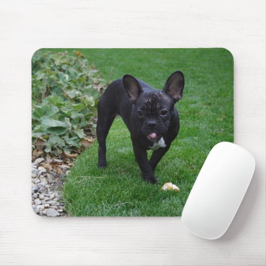 Bulldog Mousepad (Mit Mouse)