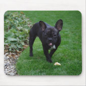 Bulldog Mousepad (Vorne)