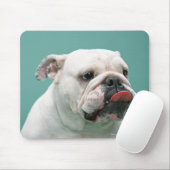 Bulldog Mousepad (Mit Mouse)